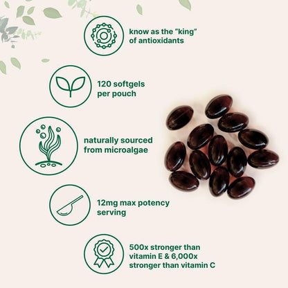 Astaxanthin Softgel Capsules 120 Count